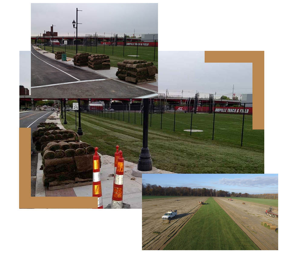 sod being layed on an athletic field at University of Louisville